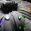 Drops Of Rainbow