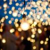 Bulbs